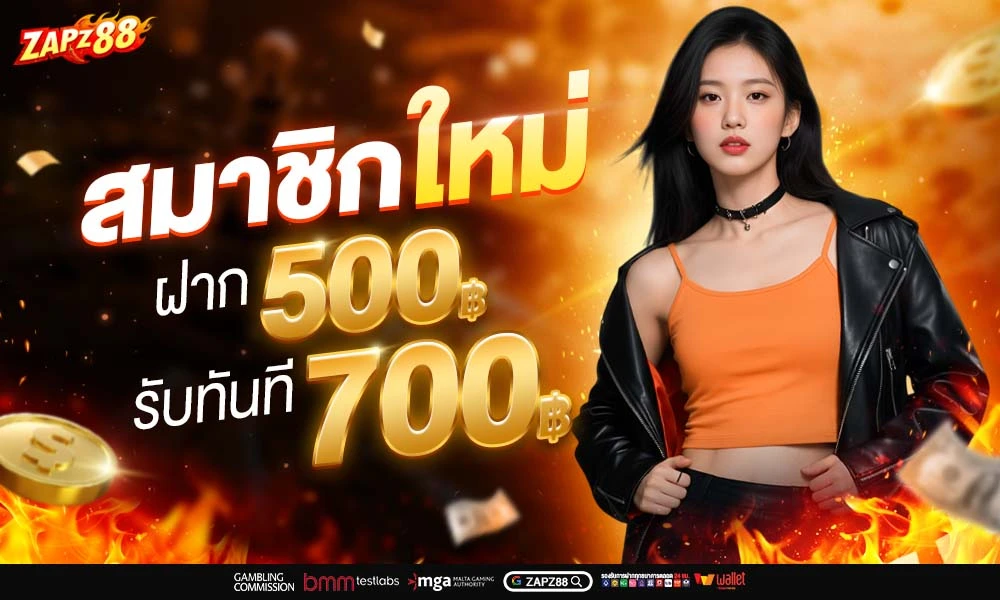 สมาชิกใหม่